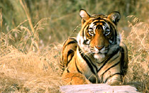 Khajuraho Varanasi Tour 